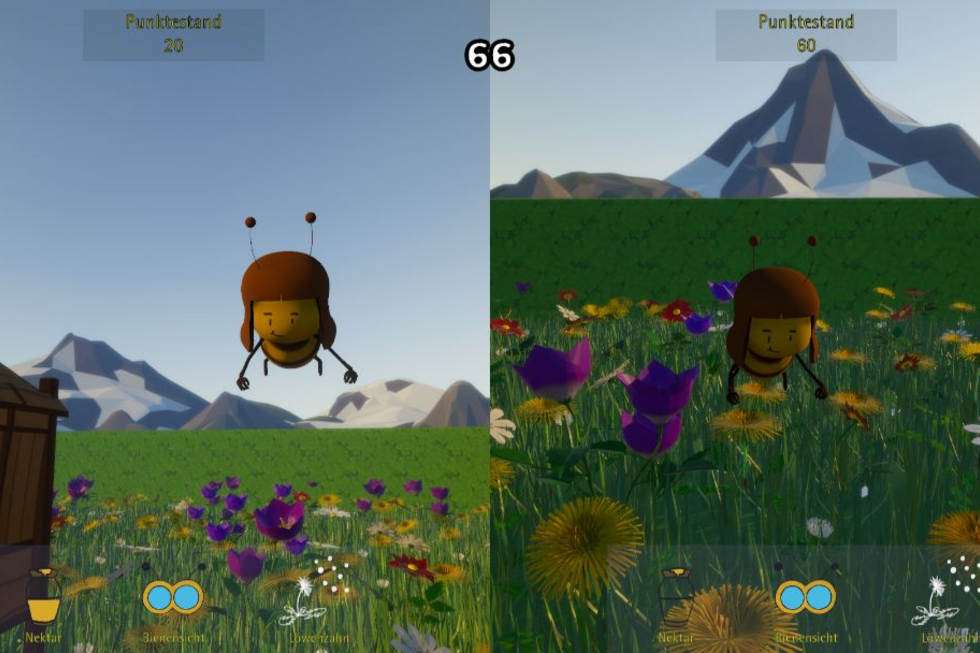 Multiplayer-Modus: Zwei Bienen im SplitScreen sammeln jede für sich Nektar auf einer Wiese