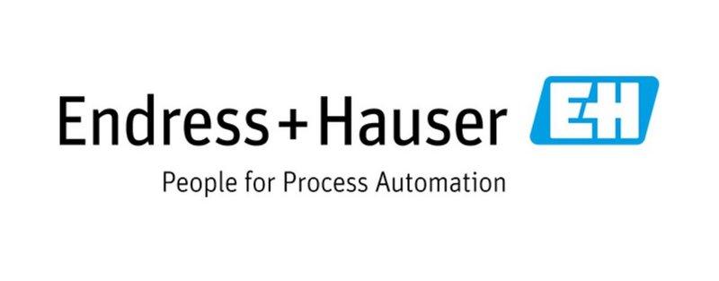Logo Endress + Hauser
