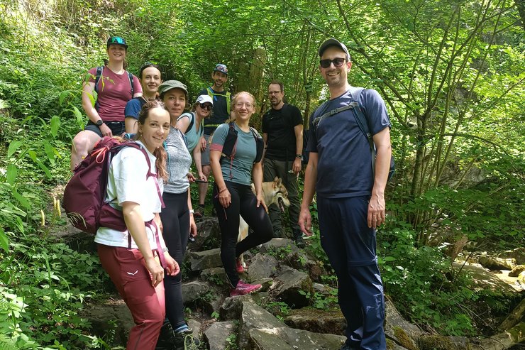 Eine Gruppe Personen auf einem Weg durch einen Wald