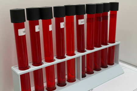 Sensorikgrundlagenschulung: Sehtest