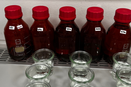 Sensorikgrundlagenschulung: Geschmackstest mit Grundgeschmacksarten