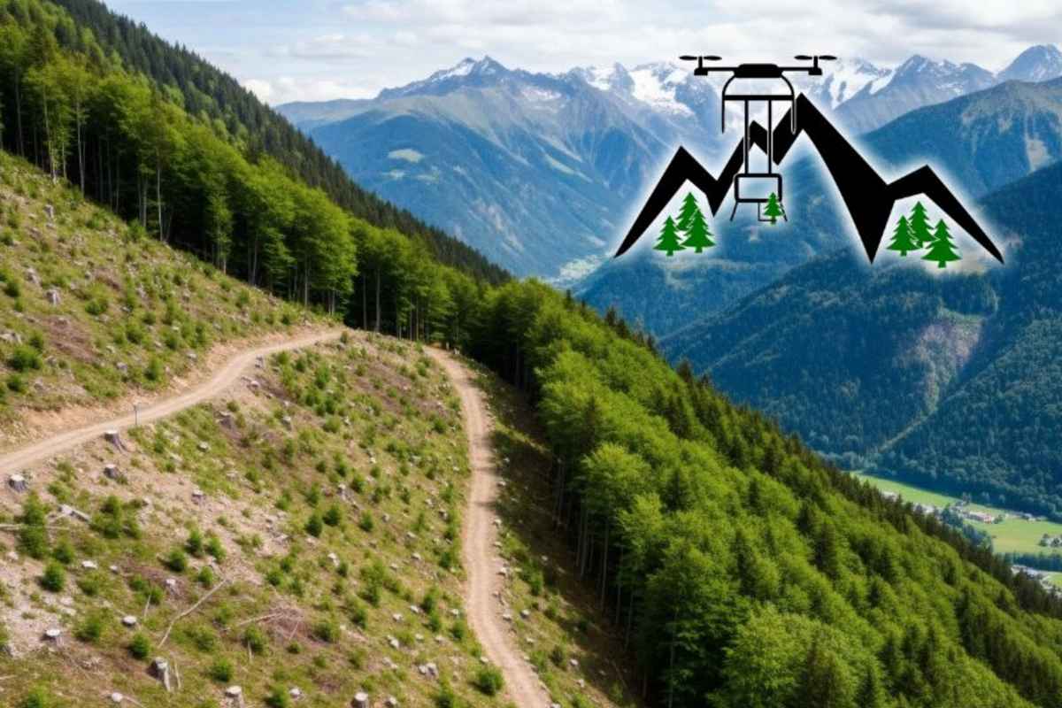 Dieses Bild steht für die aktuellen Projekte. Es enthält stellvertretend ein Landschaftsbild eines bewaldeten Berges sowie das DraAuf-Logo.