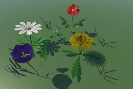 Fünf verschiedene Blumen auf der Wiese