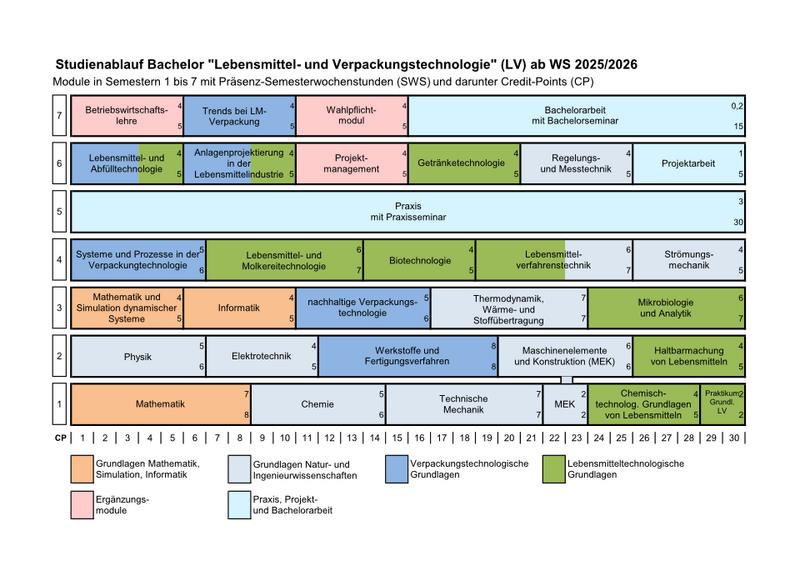Curriculum - Study Program 2025 [Graphic]